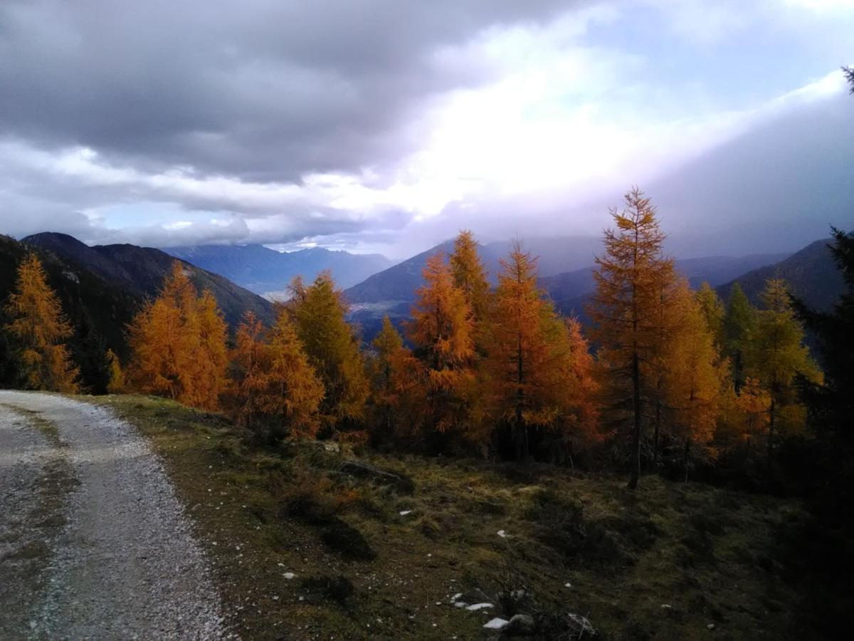 Ferienwohnung Felix-Adults Only Neustift im Stubaital Ngoại thất bức ảnh