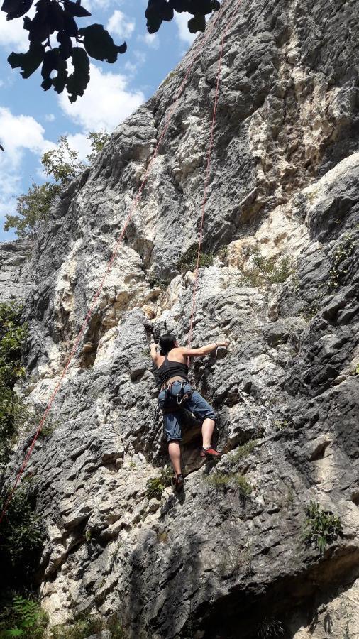 Ferienwohnung Felix-Adults Only Neustift im Stubaital Ngoại thất bức ảnh